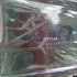 Prada Infusion de Cedre pic-114869