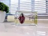 Prada Infusion d`Iris 2015 pic-115122