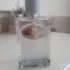 Prada Infusion Amande pic-123286