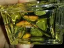 Prada Infusion d`Ylang pic-166078