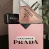 Prada Paradoxe