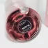 Prada Paradoxe