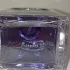 Prada Infusion de Figue