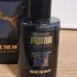 Puma Shake The Night pic-9854