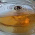 Salvador Dali Dali Eau de Toilette pic-92933