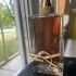Yves Saint Laurent Libre Intense pic-134800