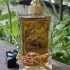 Yves Saint Laurent Libre Intense pic-145300