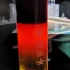 Yves Saint Laurent Opium pour Femme Eau d`Orient Poesie de Chine