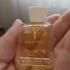Yves Saint Laurent Y