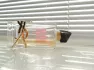 Yves Saint Laurent Libre