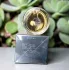 Yves Saint Laurent L`Homme pic-326201