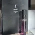 Yves Saint Laurent Muse Inspiring Ink