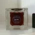 Yves Saint Laurent Le Vestiaire Coeur Fetish Amber pic-380618