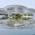 Creed Les Royales Exclusives White Amber pic-135733
