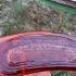 Creed Delphinus pic-193325