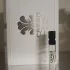 Creed Silver Mountain Water