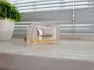 Chloe Chloe Eau de Parfum