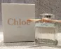 Chloe Rose Tangerine pic-206255