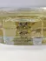 Chloe Nomade Jasmin Naturel Intense