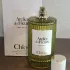 Chloe Atelier des Fleurs Vert Soleil pic-325959