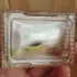 Chloe L`Eau de Chloe pic-327644