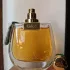 Chloe Nomade Jardin d`Egypte pic-387269