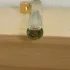 Chloe Atelier des Fleurs Jasminum Sambac pic-392040