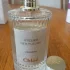 Chloe Atelier des Fleurs Verbena pic-90064