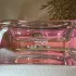 Salvatore Ferragamo Signorina in fiore pic-120464