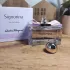 Salvatore Ferragamo Signorina Eau de Toilette pic-302375