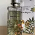 Salvatore Ferragamo Foreste di Seta pic-70086