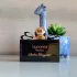 Salvatore Ferragamo Signorina Misteriosa pic-73721