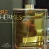 Hermes Terre D`Hermes pic-129513