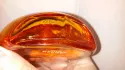 Hermes Elixir Des Merveilles