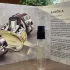 Hermes Barenia pic-212821