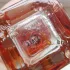 Hermes 24 Faubourg Extrait de Parfum pic-218142