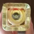 Hermes Twilly d`Hermes Eau Ginger