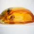 Hermes Eau Des Merveilles pic-46377