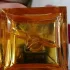 Shiseido Zen 2007