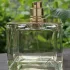 Shiseido Zen 2007