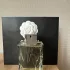 Sisley Eau d`Ikar