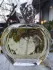Sisley Soir de Lune pic-215206