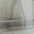 Sisley Eau de Sisley 2