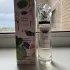Sisley L`Eau Revee D`Hubert