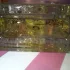 Sisley L`Eau Revee D`Ikar pic-381309