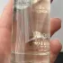 Sisley Eau De Campagne