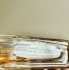 Trussardi My Name pic-49447