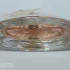 Trussardi Delicate Rose pic-88569