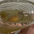 Rochas Eau Sensuelle
