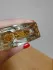 Van Cleef & Arpels Collection Extraordinaire Bois d`Iris